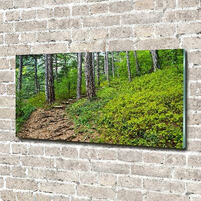 Acrylic wall art Forest track