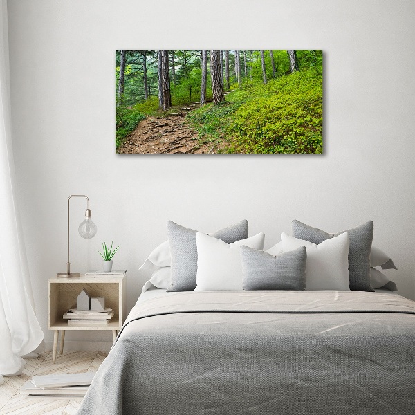 Acrylic wall art Forest track