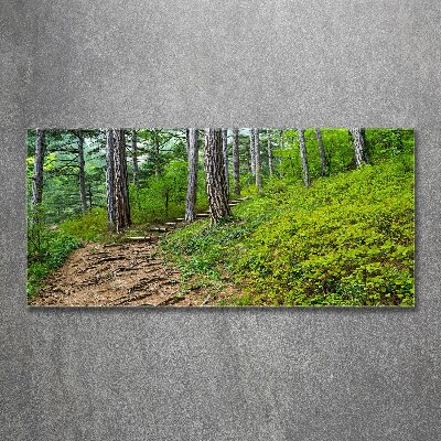 Acrylic wall art Forest track