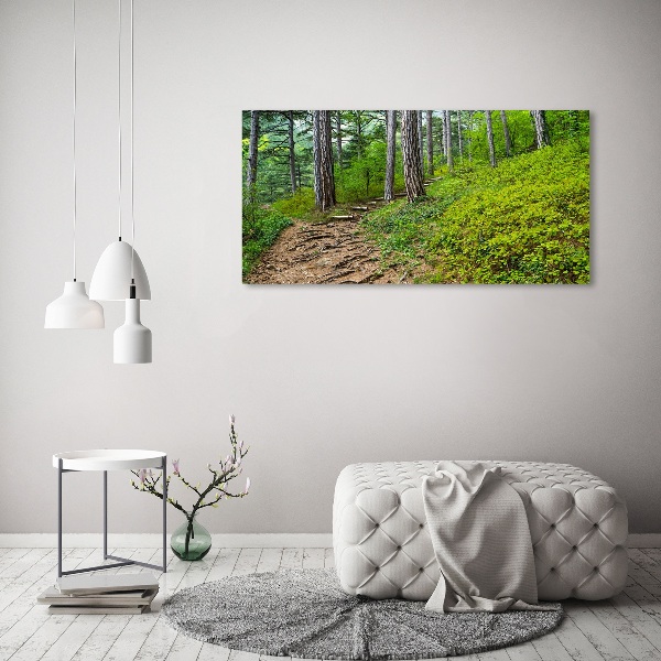 Acrylic wall art Forest track