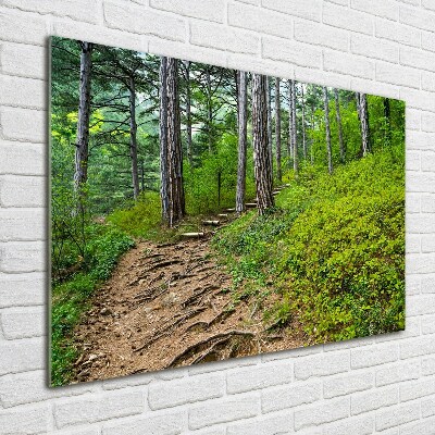 Acrylic wall art Forest track