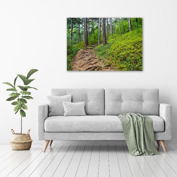 Acrylic wall art Forest track