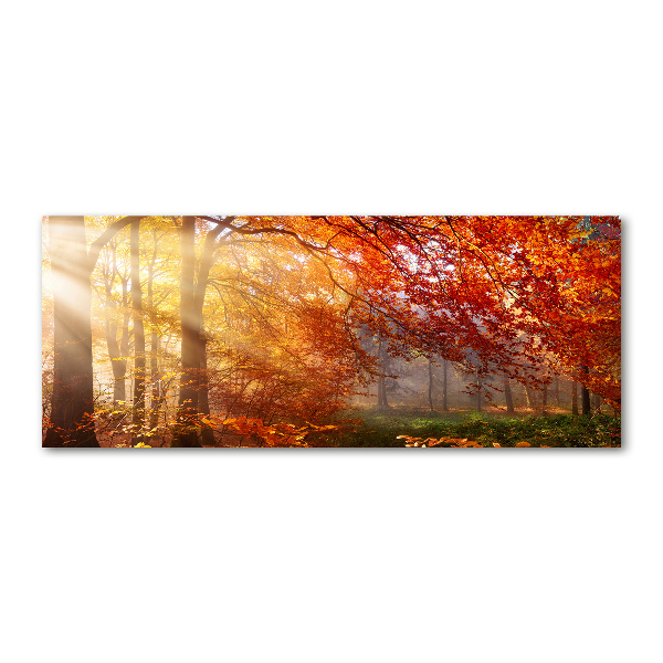 Wall art acrylic Autumn forest