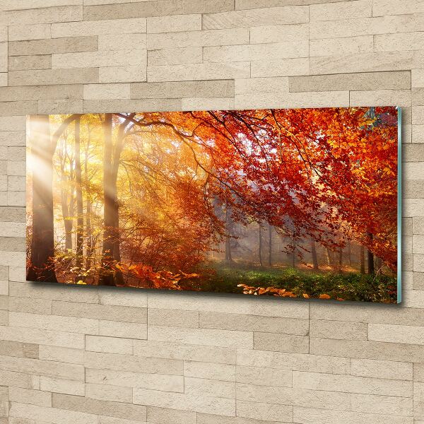 Wall art acrylic Autumn forest