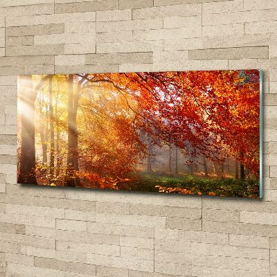 Wall art acrylic Autumn forest