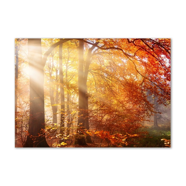 Wall art acrylic Autumn forest