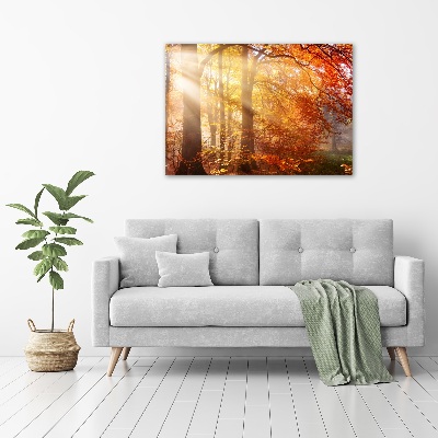 Wall art acrylic Autumn forest