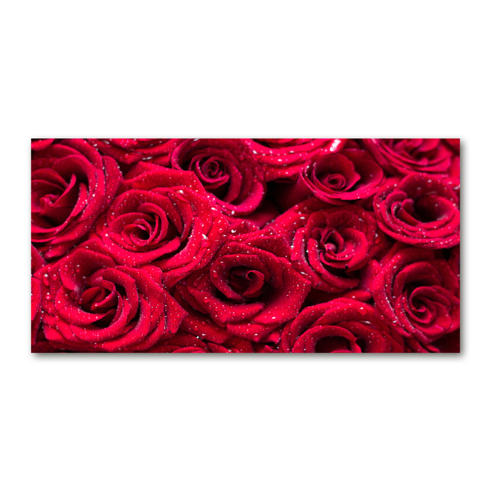 Acrylic wall art Drops on roses