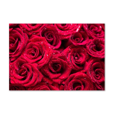 Acrylic wall art Drops on roses