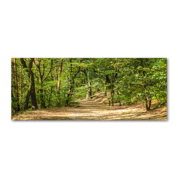 Wall art acrylic Forest track