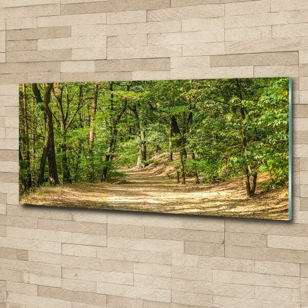 Wall art acrylic Forest track