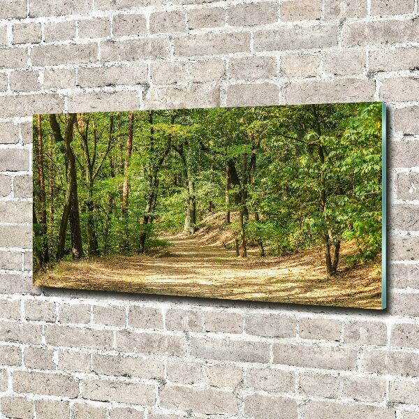 Wall art acrylic Forest track