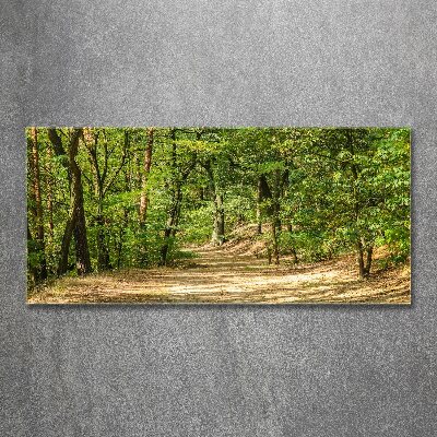 Wall art acrylic Forest track