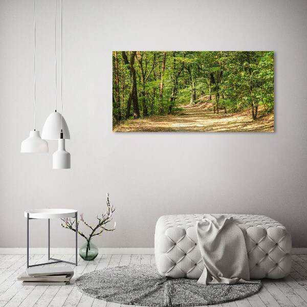 Wall art acrylic Forest track