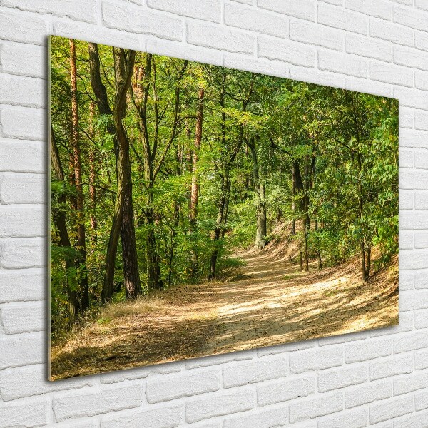 Wall art acrylic Forest track