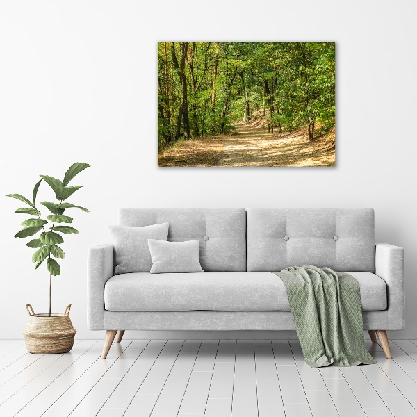 Wall art acrylic Forest track