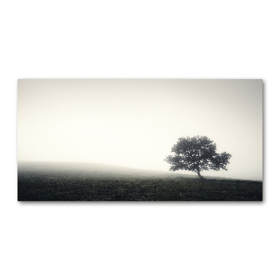 Print on acrylic Lone Tree