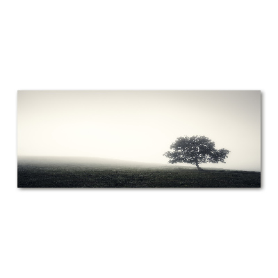 Print on acrylic Lone Tree