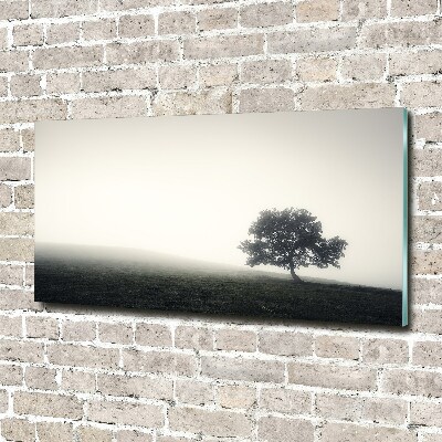 Print on acrylic Lone Tree