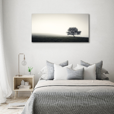 Print on acrylic Lone Tree