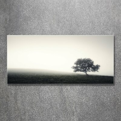 Print on acrylic Lone Tree