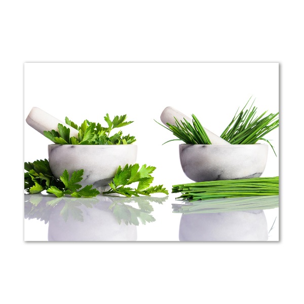 Acrylic print Herbs