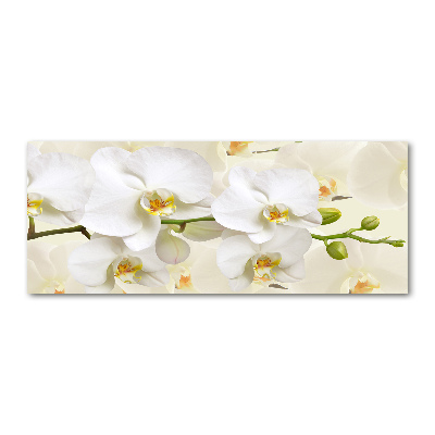 Acrylic print Orchid