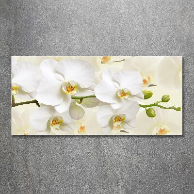 Acrylic print Orchid