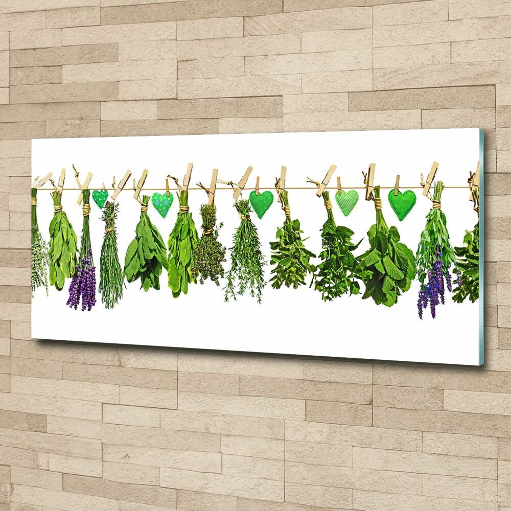 Acrylic print Herbs on a string