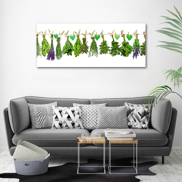 Acrylic print Herbs on a string