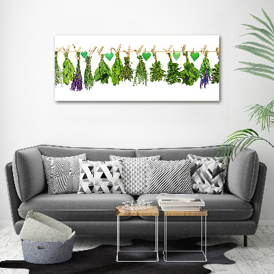 Acrylic print Herbs on a string