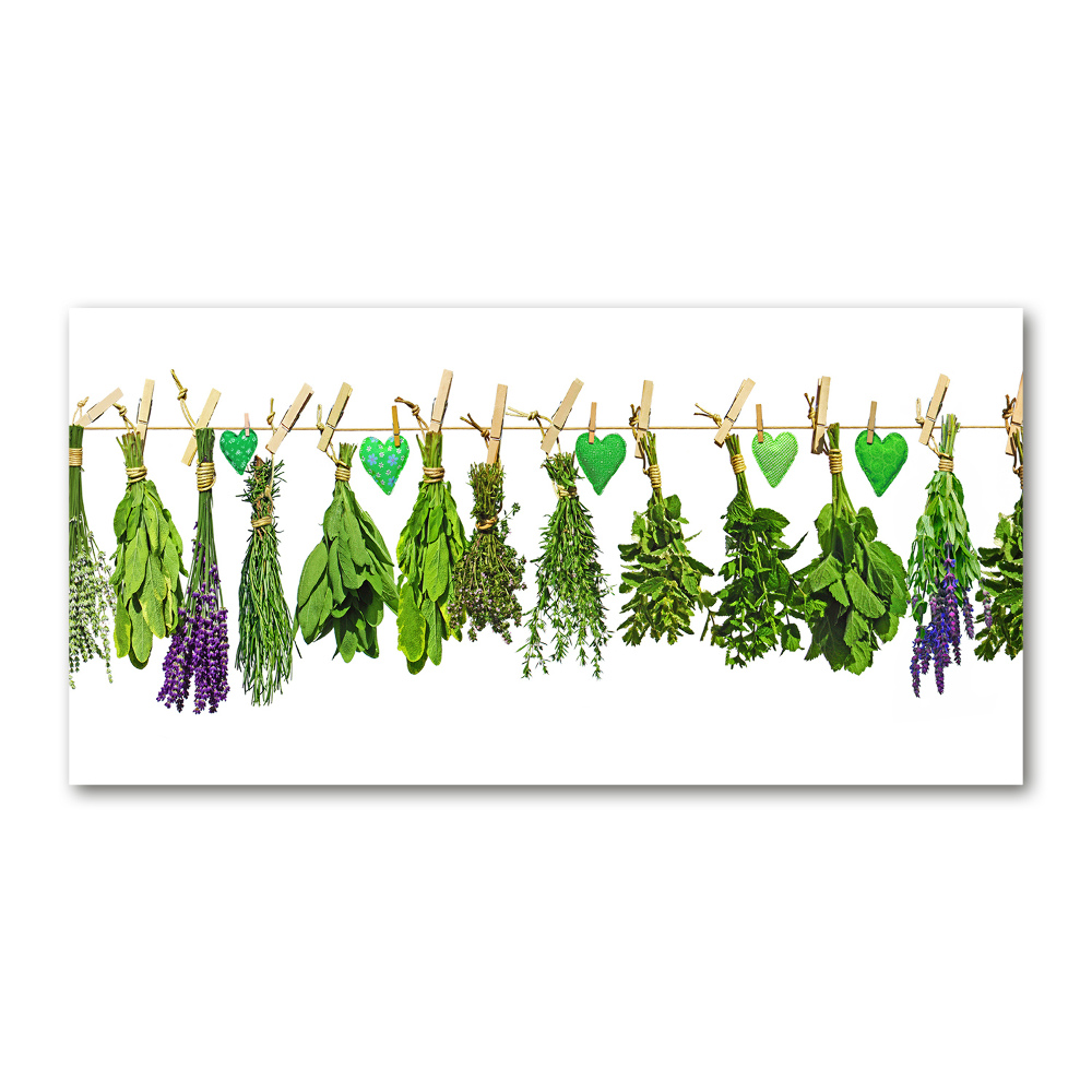 Acrylic print Herbs on a string