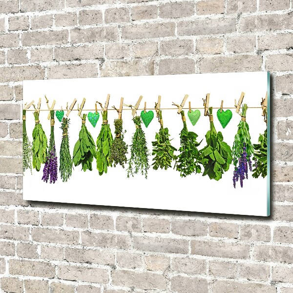 Acrylic print Herbs on a string