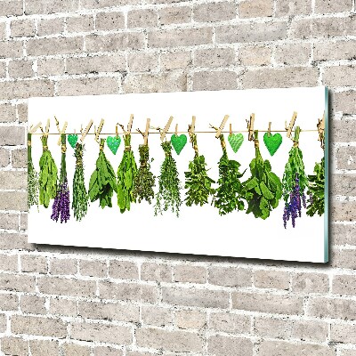 Acrylic print Herbs on a string