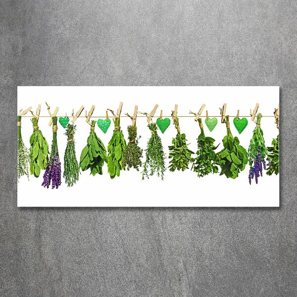 Acrylic print Herbs on a string