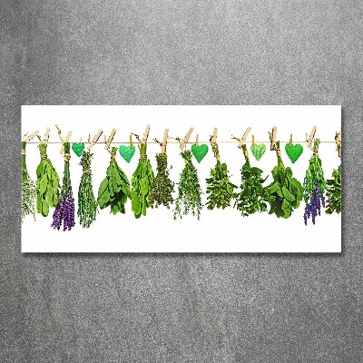 Acrylic print Herbs on a string