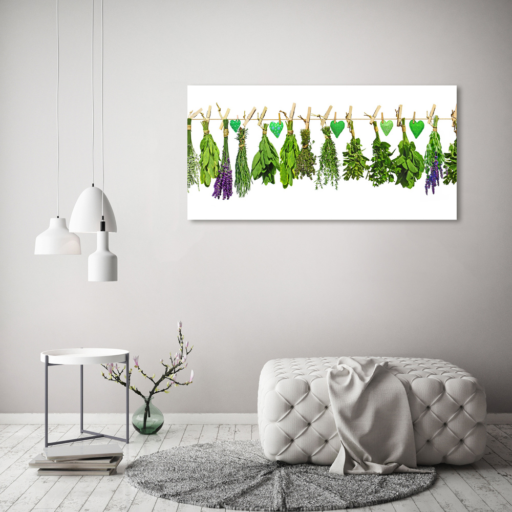 Acrylic print Herbs on a string