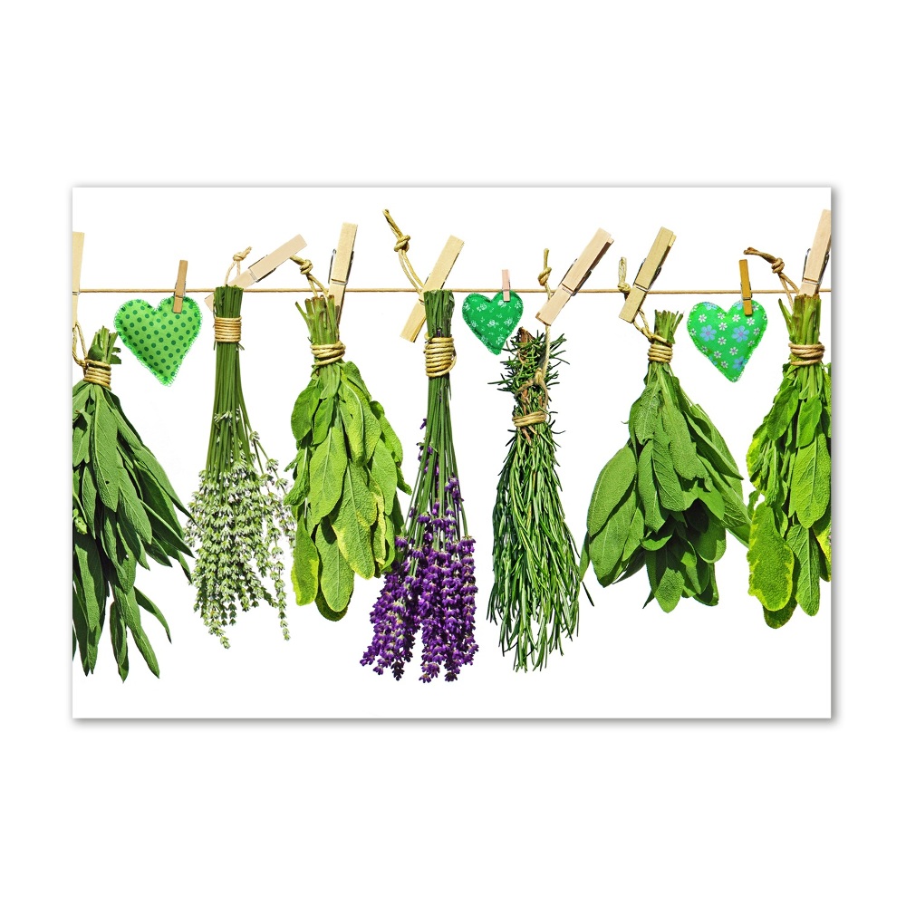 Acrylic print Herbs on a string