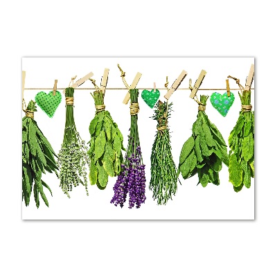 Acrylic print Herbs on a string