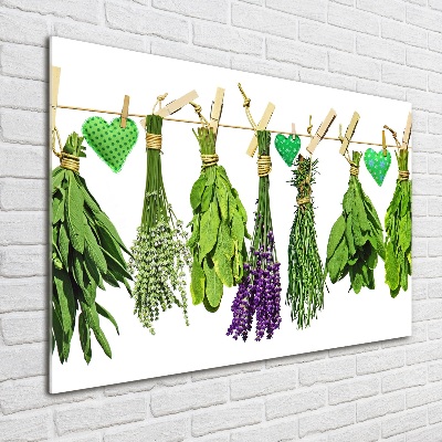 Acrylic print Herbs on a string