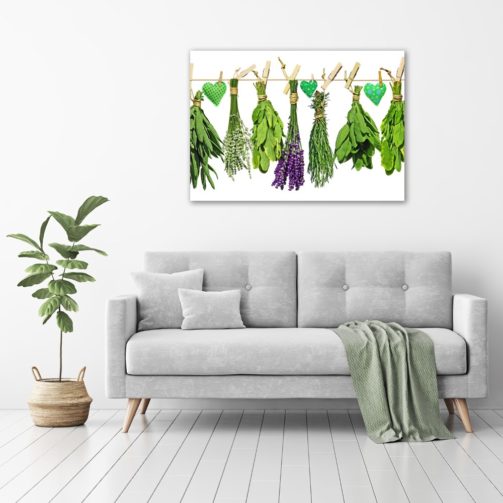 Acrylic print Herbs on a string