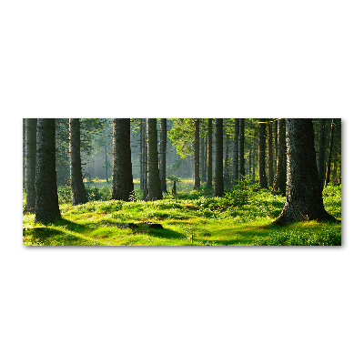 Wall art acrylic Spruce forest