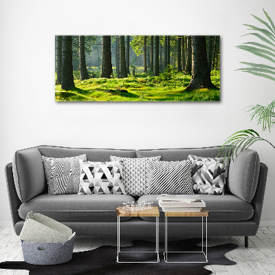 Wall art acrylic Spruce forest