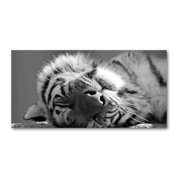 Wall art acrylic Sleepy Tiger