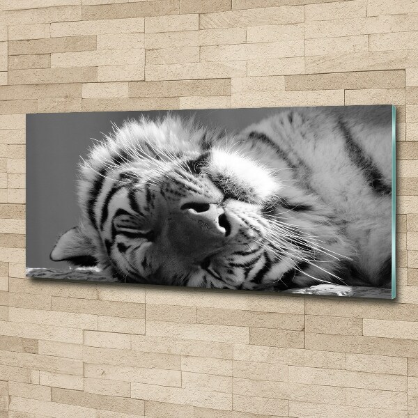 Wall art acrylic Sleepy Tiger