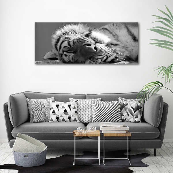 Wall art acrylic Sleepy Tiger