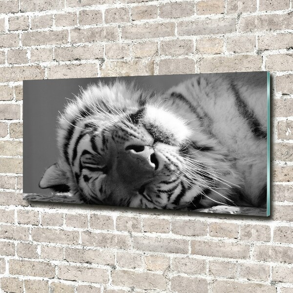 Wall art acrylic Sleepy Tiger