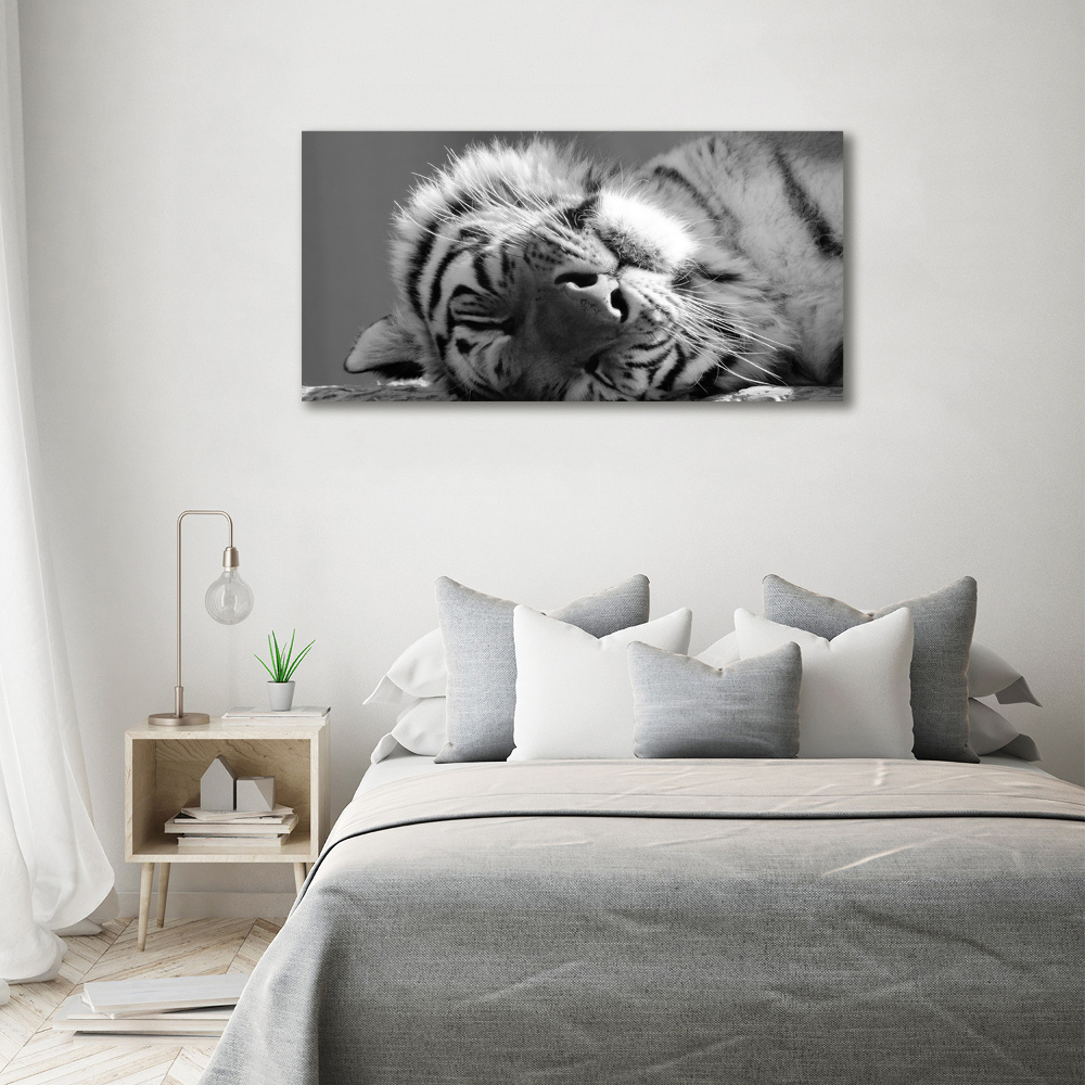 Wall art acrylic Sleepy Tiger