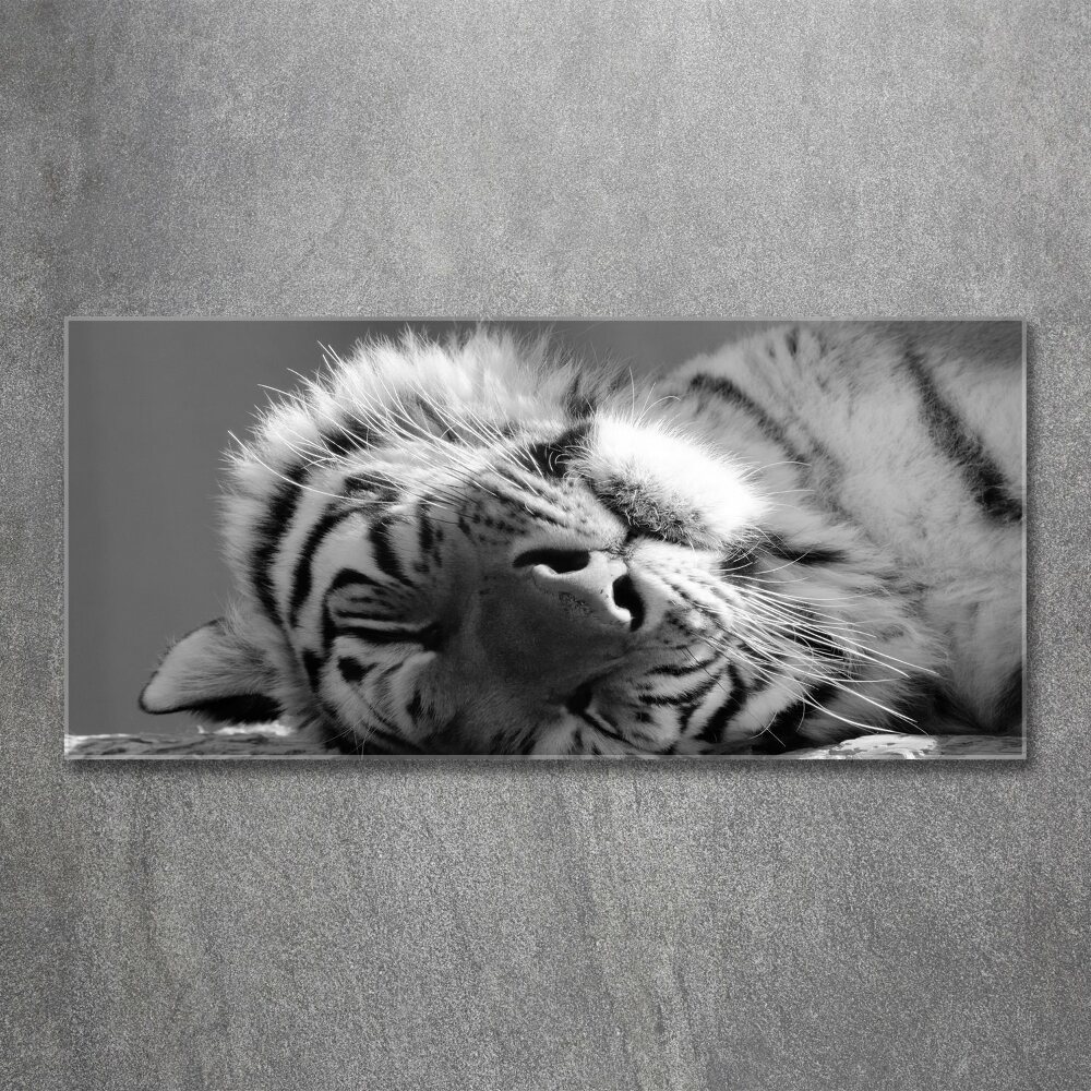 Wall art acrylic Sleepy Tiger