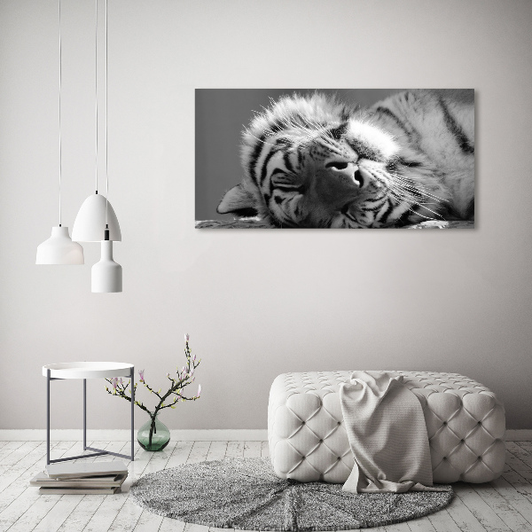 Wall art acrylic Sleepy Tiger